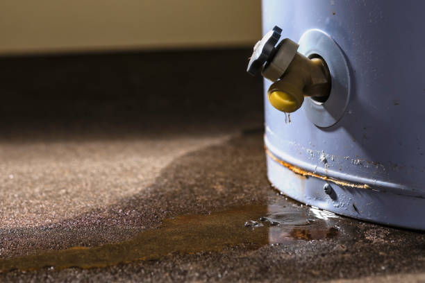 Best Water damage cleanup near me  in Blacksburg, VA