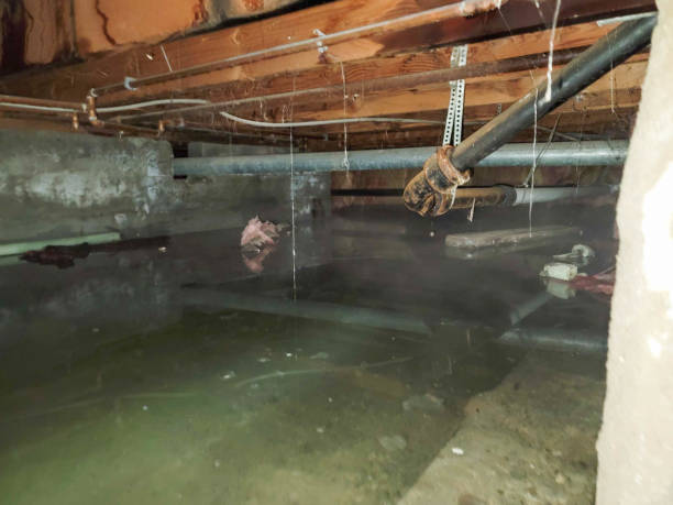 Best Flood damage cleanup  in Blacksburg, VA