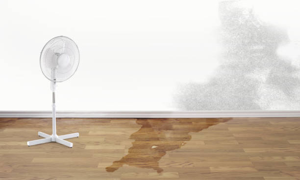 Best Residential water damage restoration  in Blacksburg, VA