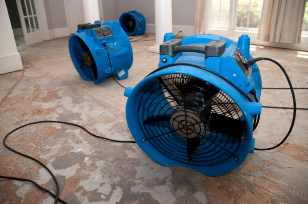 Best Ceiling water damage repair  in Blacksburg, VA