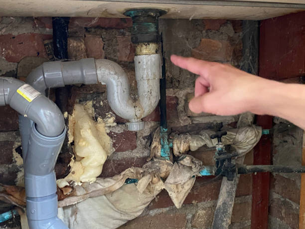 Best Professional water damage repair  in Blacksburg, VA